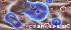 色斑调理技术，我们最专业！！！